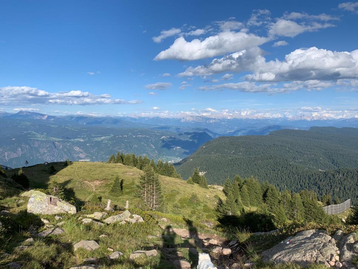 Unterurban Die Zwei Senale-San Felice Esterno foto